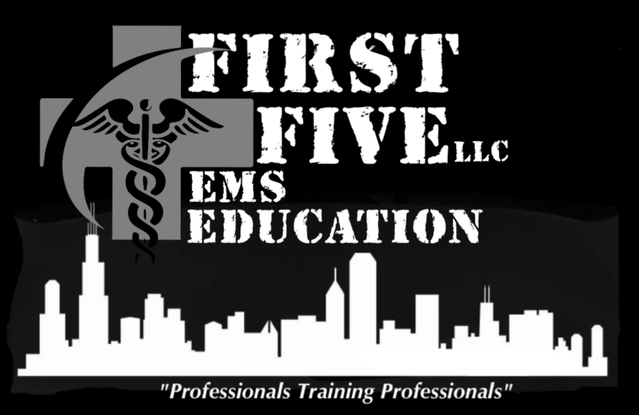 First_Five_Training_-_Professionals_Training_Professionals